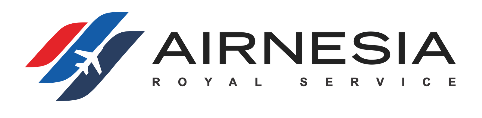 Airnesia Logo